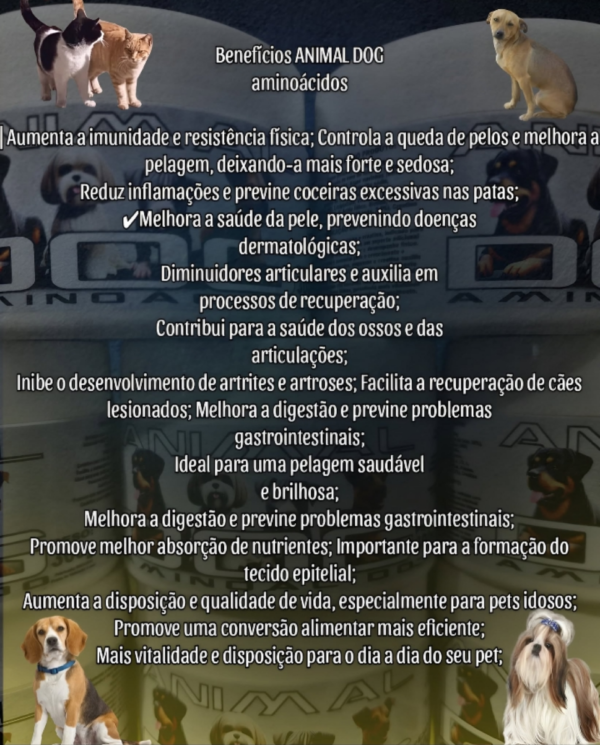 Animal Dog - aminoácidos - Imagem 2
